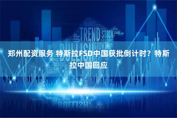 郑州配资服务 特斯拉FSD中国获批倒计时？特斯拉中国回应