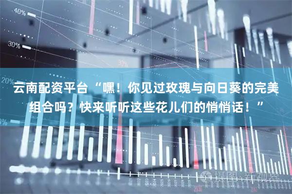 云南配资平台 “嘿！你见过玫瑰与向日葵的完美组合吗？快来听听这些花儿们的悄悄话！”