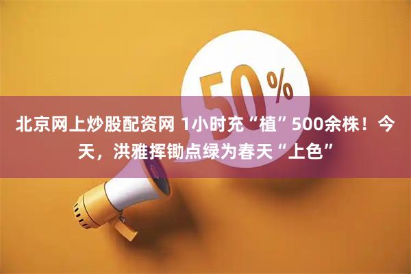 北京网上炒股配资网 1小时充“植”500余株！今天，洪雅挥锄点绿为春天“上色”